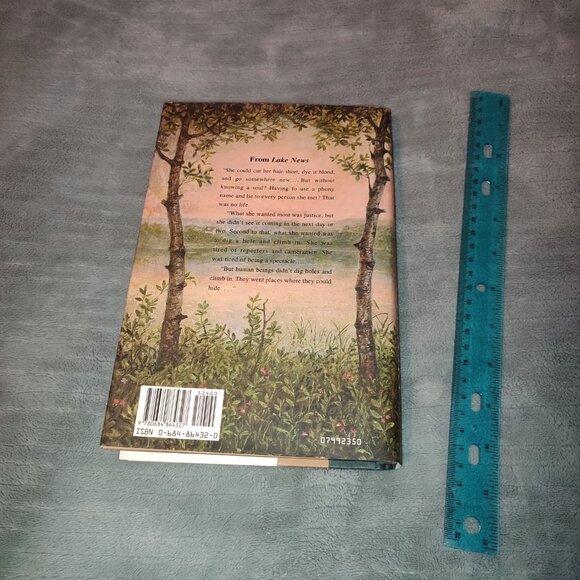 Book Lake News Barbara Delinsky Bestseller Novel self discovery justice life - Picture 3 of 8